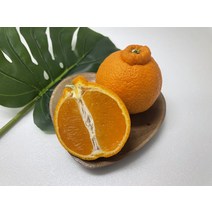 써니트 한라봉 제주 한라봉 프리미엄과일 한라봉박스 가정용 중소과 중대과 3kg 10kg, 1개, [특가] 가정용/3kg/중대과/12과내외