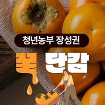 청년농부 고당도 진영단감 중대과 농가직송, 1박스, 5kg(20~24개) 대과