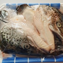 싱싱생연어 냉동 연어머리4개