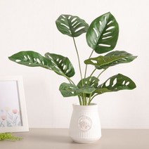 [플라워트리] 9대프리몬스테리아뿌리 56cm 조화 식물 인테리어 FAIBFT, 색상:9대프리몬스테리아