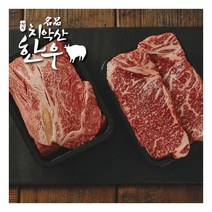 [치악산한우]청정한우 투뿔 NO9 로스구이 선물세트 1kg