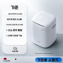 산소 발생기 분무 휴대용 가정용 흡입기 제조기 기계 소형 독서실 흡입 음이온 차량 탑재, 표준형 산소 발생기