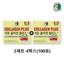 캐나다 석류콜라겐 저분자 콜라겐 연어껍질 수용성 히알루론산 엘라스틴 식물성 에스트로겐 피에스트로 비타민C 터키산, 2