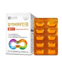 종근당 활력비타민B 60정