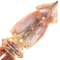 울릉도 오징어, 울릉도 오징어(건조) 5마리 (약300g)