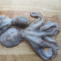 탱탱 알베기 알쭈꾸미 1kg 8-10미 내외-볶음 숙회 안주 반찬