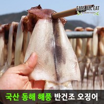 이츠올릿 국산 동해 반건조 오징어 1kg 10미 손질 마른 건 속초 울릉도 안주, 반건조오징어 800g 10미