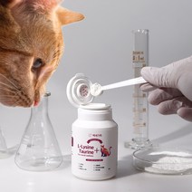 고양이 면역강화 영양제 퍼플펫 엘라이신 80g