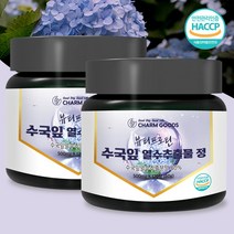 수국잎열수추출물 복합정 48000mg 120정 AMPK 효소 활성, 2병, 120정/60g
