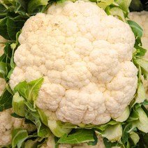 제주 컬리플라워 라이스 콜리플라워 3kg 식이섬유 당뇨 볶음밥, 제주콜리플라워3kg, 1개
