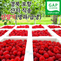 포항 햇 산딸기 냉동산딸기 산지직송 500g 1kg 2kg, 1개
