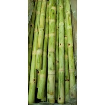 베트남산 껍질벗긴 그린 생사탕수수 2kg, 5kg, 1개