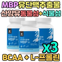 뼈엔 mbp 유단백추출물 뼈건강 100% 산양유단백분말 가루 락토페린농축물 분리유청 3통 3개월분 정타입 멸치탈출 보충제 동물성 초유 식물성 대두레시틴 함유 WPI WPC 프롤린 밀크칼슘 분리대두단백 운동전후 먹는 청소년 어르신 부모님 선물 추천