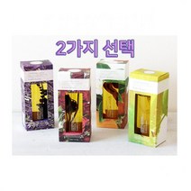 린든리브즈 바디오일 아로마오일 250ml 4가지 중 2개 올리브영 마사지오일, 인 러브 어게인_메모리즈