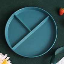 식판 음식 과일 샐러드용 그리드 서양식 구획 분할 밀 밀짚 다이어트 식사 주방 식기류, 3.C