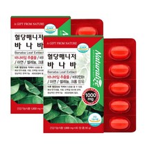 혈당 매니저 바나바 바나바잎 추출물 식약처 혈당건강 기능성 인정 성분 코로솔산, 2박스, 60정