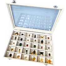 곤충표본 나비 교육 과학실험 선물상자 전시 박제 502, 블랙 4호 슈트 E 섹션