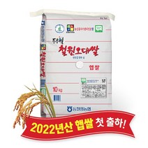 박대 군산박대 생산자직접판매상품 당일배송 서대 군산서대 반건조 36cm이상(왕특대)박대200g이상 5마리, 5