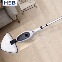 스팀세척기 청소기 살균가정용 스팀 대 신제품 대 워터 제트 전기 가공 및 맞춤형, 04 AU_02 220-240V