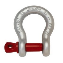 Crosby 1018393 Carbon Steel G-209 Screw Pin Anchor Shackle Galvanized 3/4 Ton Working Load Limit, 1, 5/16