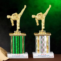 [랜드마크트로피] 태권도트로피(A형), A형-은색(a)