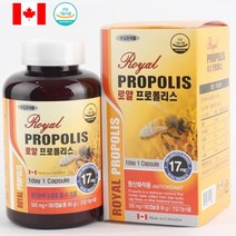 캐나다 직수입 로얄 프로폴리스, 상세페이지 참조, 알약/캡슐, 상세페이지 참조