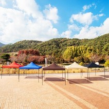 야외행사 홍보 광고용 캐노피 대형 천막 골조 지붕 야유회용, DZ천막2X3 커피