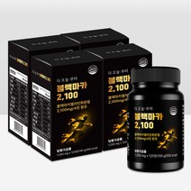 오늘부터 블랙마카2100 흑마늘 야관문 흑삼, 4개, 120정