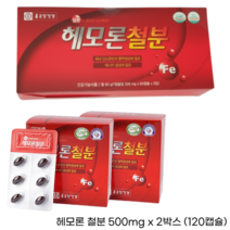 종근당 헤모론 철분 유기철분 헴철 보충 복합 기능성 영양제 해조칼슘 나이아신 아연 엽산 비타민C 비타민B1 비타민B2 함유 임산부 수유 여성 청소년 어린이 유아 아기 캡슐 철분제, 120캡슐 x 6개