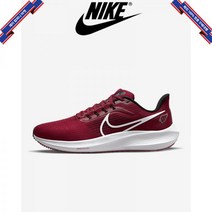 [미국정품] 나이키 맨즈 에어 줌 페가수스 39 (NFL Arizona Cardinals) DR2033-600