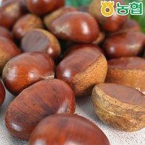 [KT알파쇼핑][농협] 순창 햇 알밤 특 1kg