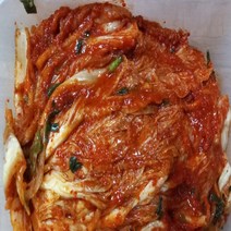 [미친가격 ]매운 실비김치 2kg 배추 포기김치 KIMCHI 택배 주문, 03.총각김치 2kg