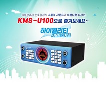 프로메인 미니 이동식 노래방 세트 가정용 업소용 반주기 금영 KMS-U100 무선마이크 세트