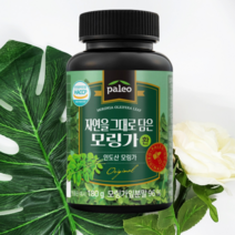 팔레오 모링가 환 인도산 모린가 잎 씨앗 열매 분말 180g 1통