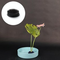 고정 꽃꽂이 원형 생화 수반 흡착식 침봉 878EA, 투명