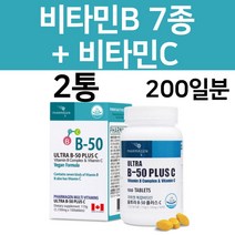 비타민B군 컴플렉스 복합체 비타민B 비타민BC 식약처인증 비타민 비, 2통