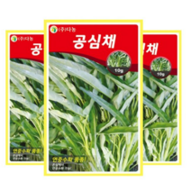 다농 공심채씨앗, 5개