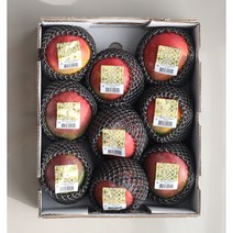 프리미엄 애플망고 달콤한 망고 선물세트 항공수입, 1박스, 항공직송 애플망고 2kg 특대(4-5과)