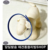 반려동물목보호대 강아지탈골 애완샵 넥카라 강아지용품샵 반려동물용품 강아지캡, 1개, 낱개