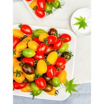 영월 유기농 컬러 방울 토마토 2kg 4kg 건강 다이어트 간식