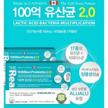 더 리얼 100억 유산균 식약처인증 5세대 유산균 신 프리 프로 바이오틱스 락토바실러스 가세리 루테리 장용성캡슐, 1박스, 500mg x 60캡슐