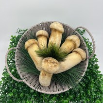 (경동버섯유통 송이 능이) 자연산 냉동 송이버섯 500g, L, 1개