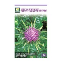 다농 흰무늬엉겅퀴씨앗 2g(밀크시슬)