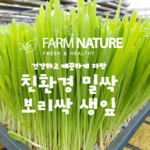 [팜네이처] 친환경 무농약 밀싹 / 보리싹 생잎, 보리싹 50g
