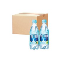 빅토리아 탄산수 500ml 청귤20펫 라임20펫 총40펫
