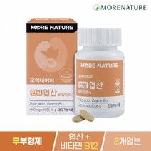 [모어네이처]안심 엽산 400 레몬유래 엽산제-1개, 90정, 36g, 1개