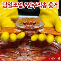 산지 직송 국산 영덕 대게 박달 홍게, 12_박달급자숙홍게3kg(9~12마리)