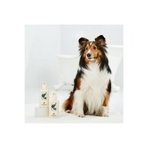 포앤팜 밸런싱 모이스처 애견반려견펫샴푸 300g, 포앤팜 밸런싱 모이스처 애견/반