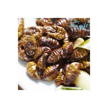 냉동번데기 생번데기 번데기 1kg 주전부리 간식 안주
