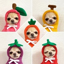 핸즈앤독 과일 기모후드 고급원단 핸드메이드 강아지옷 애견의류, 당근-오렌지